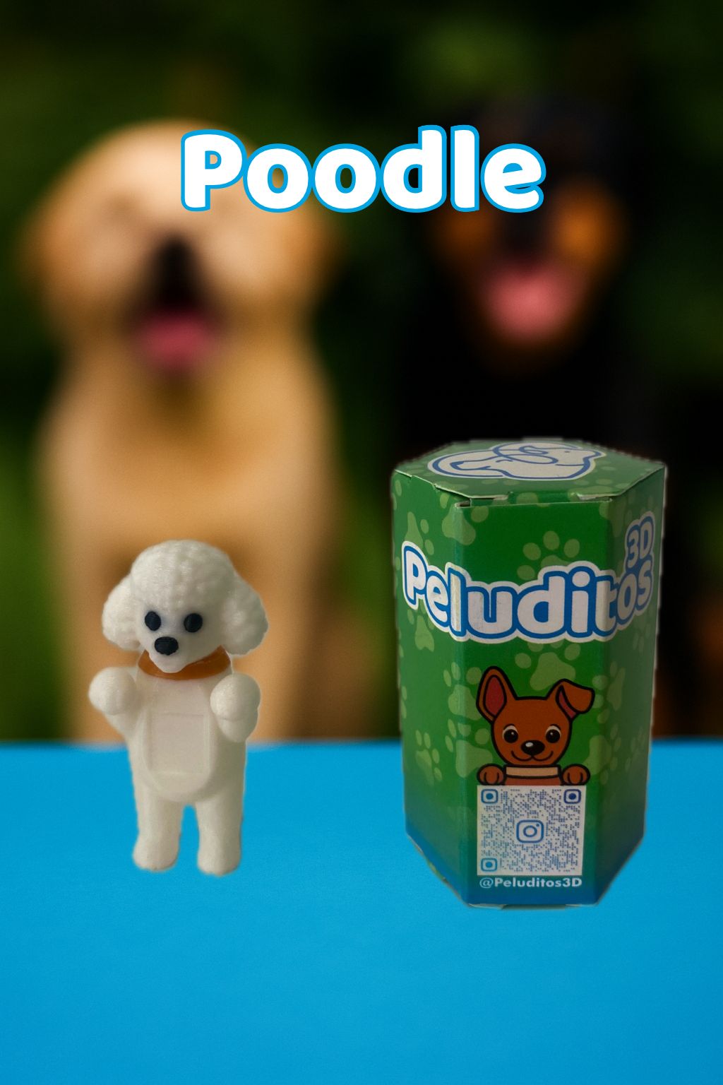 Clark poodle