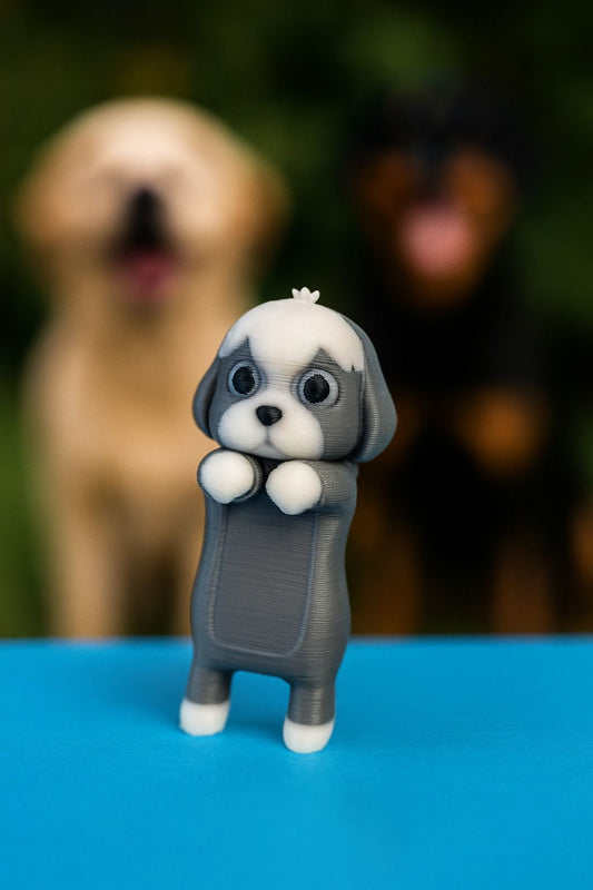 Mia Shih Tzu