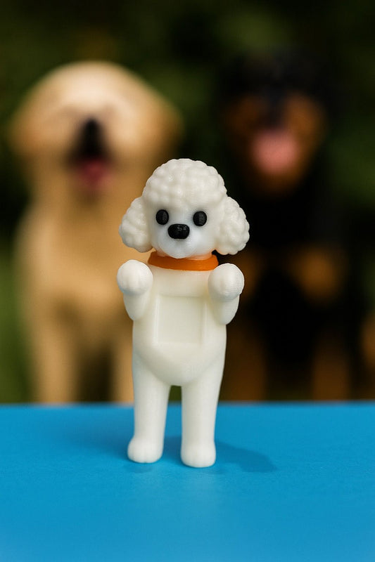 Clark poodle