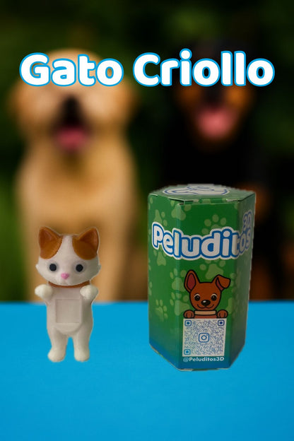 Tommy Gato criollo